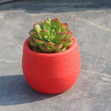 Mini Colourful Round Plastic Plant Flower Pot Garden Home Office Decor Planter Desktop Flower Pots Home Office Decoration